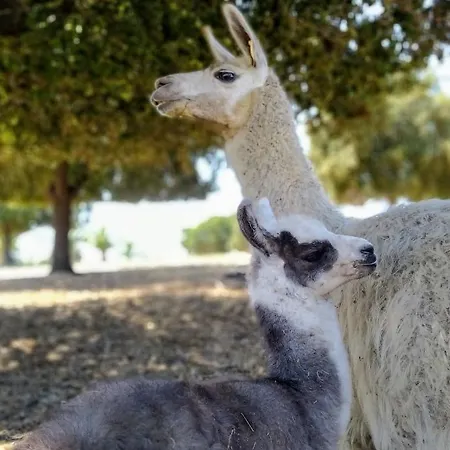 Naturiste Riva Bella 4* * Linguizzetta