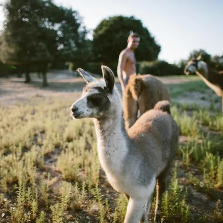 Naturiste Riva Bella 4*