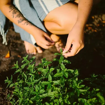 Kemping Naturiste Riva Bella 4* Linguizzetta