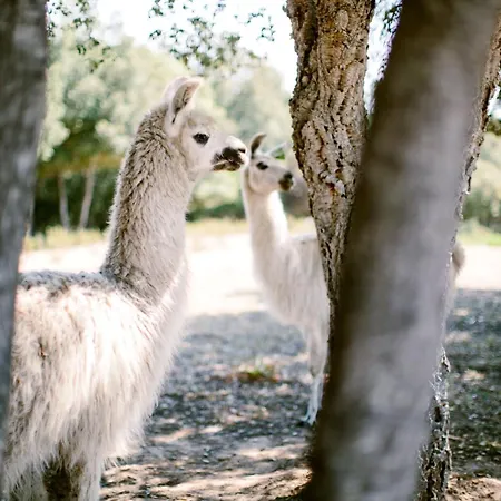 Naturiste Riva Bella 4*