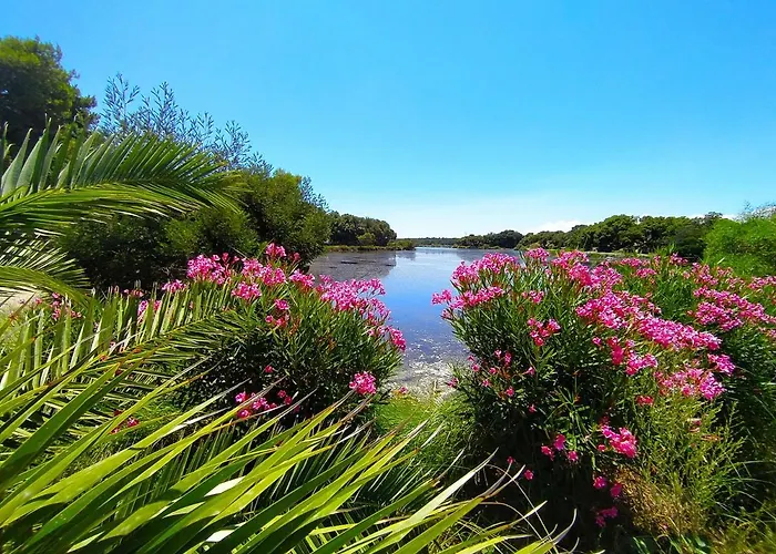 Naturiste Riva Bella 4* *