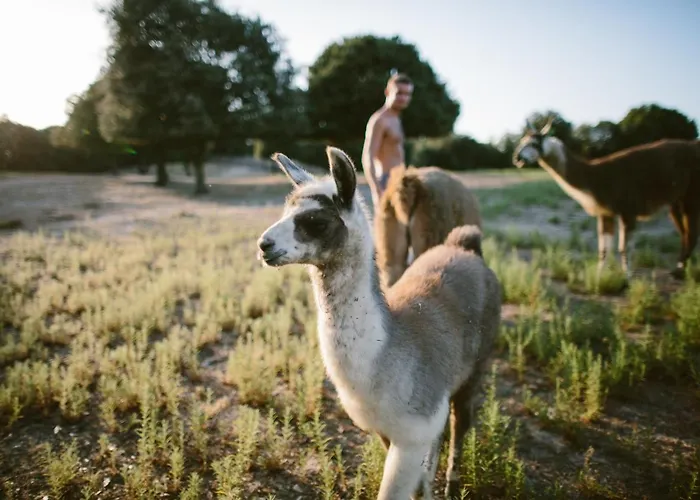 Naturiste Riva Bella 4*