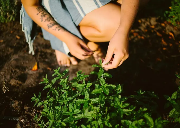 Campeggio Naturiste Riva Bella 4* Linguizzetta