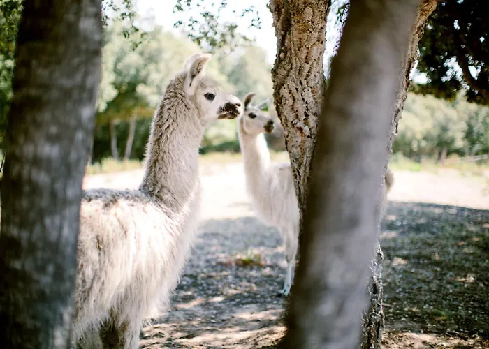 Naturiste Riva Bella 4*